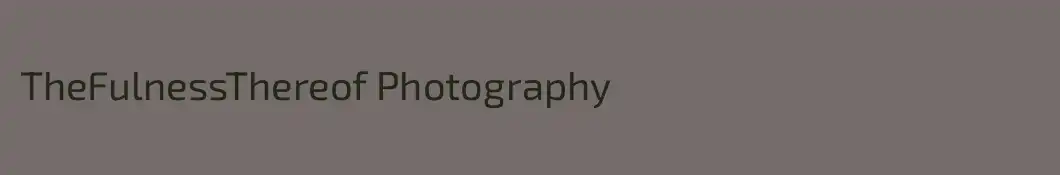 TheFulnessThereof Photography